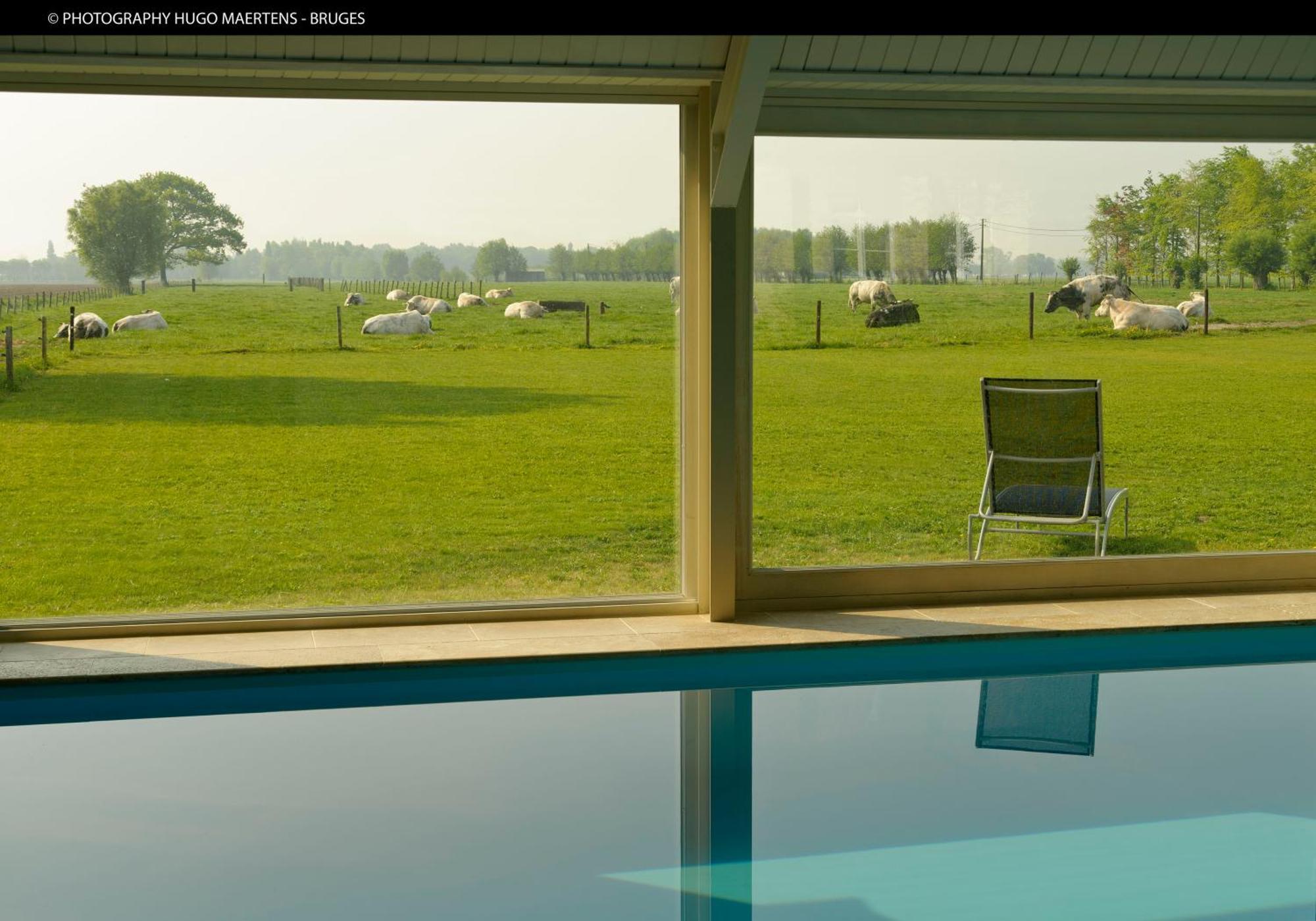 B&B Het Weiland Damme Exterior foto