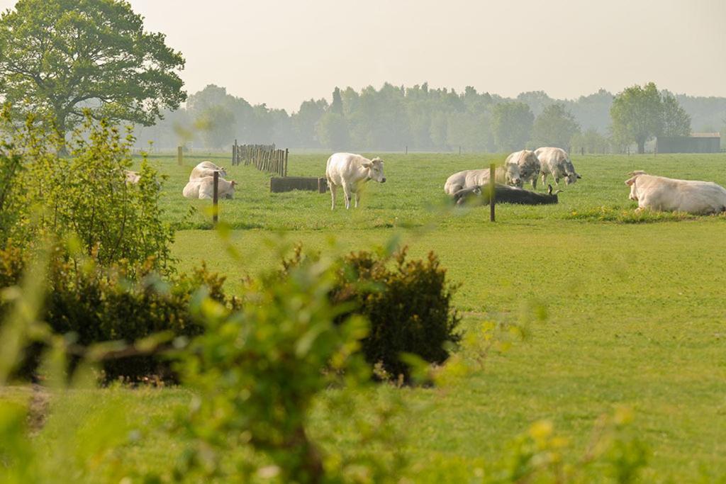 B&B Het Weiland Damme Exterior foto